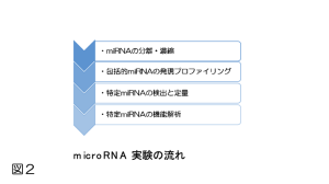 microRNA2