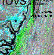 慶応義塾大学らの研究チームが病的血管を選択的に除去する光免疫療法を実証しました